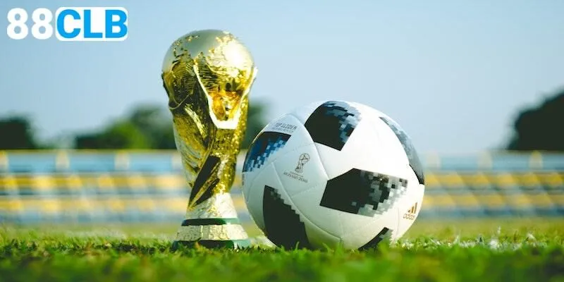 Thể thức thi đấu World Cup